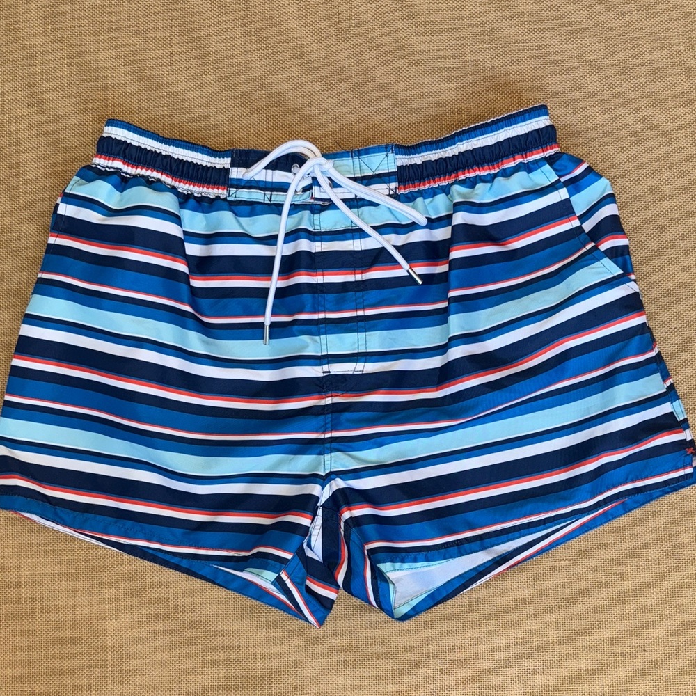 EUC 2xist Multicolor Striped Swim Shorts